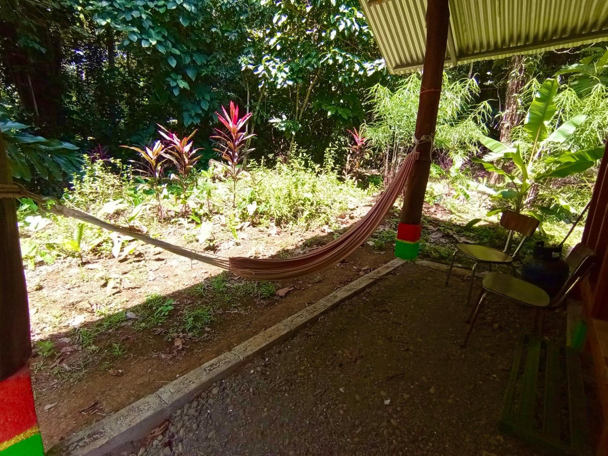 Alouatta Lodge And Canopy Cahuita Exterior photo