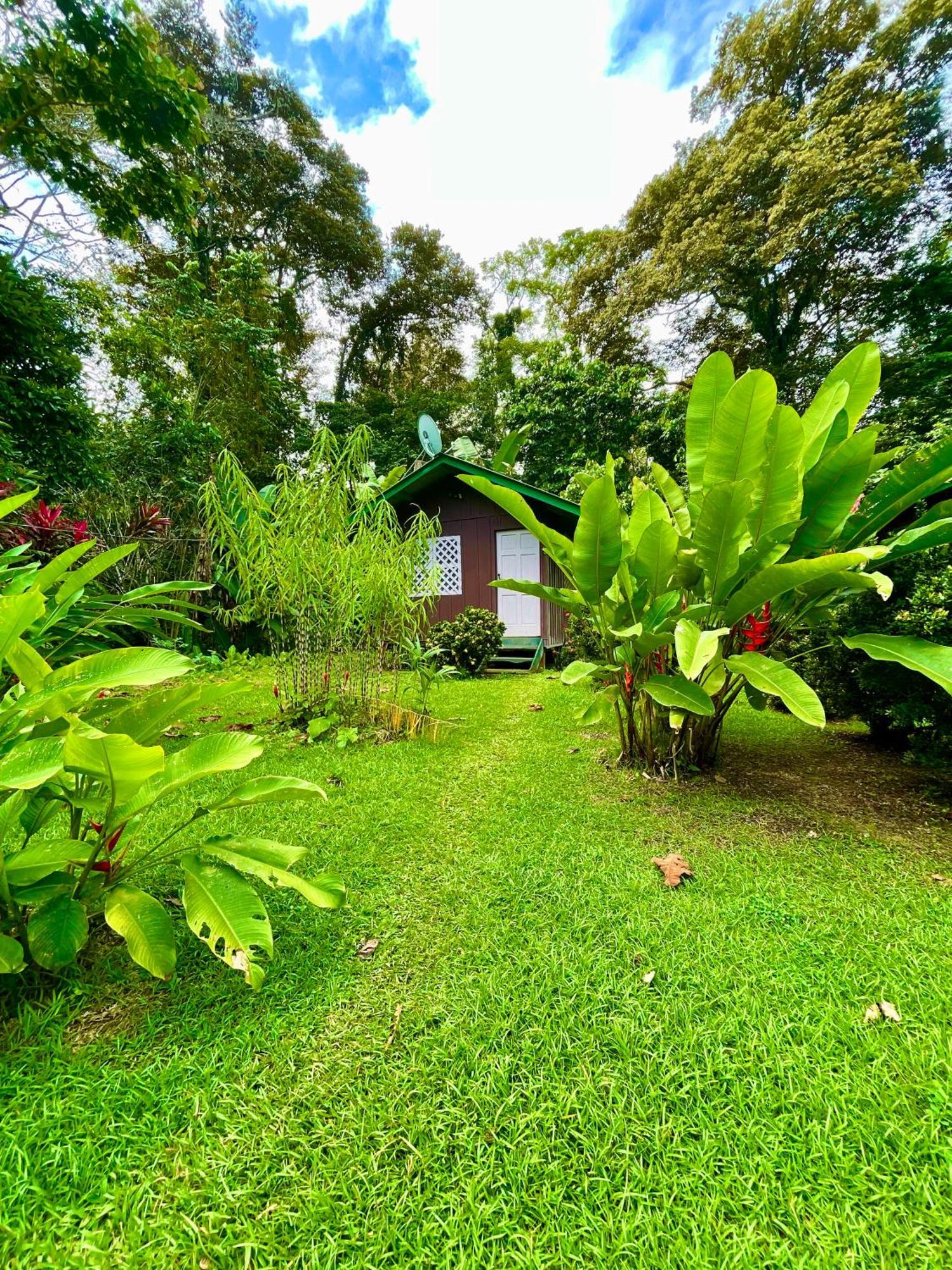 Alouatta Lodge And Canopy Cahuita Exterior photo