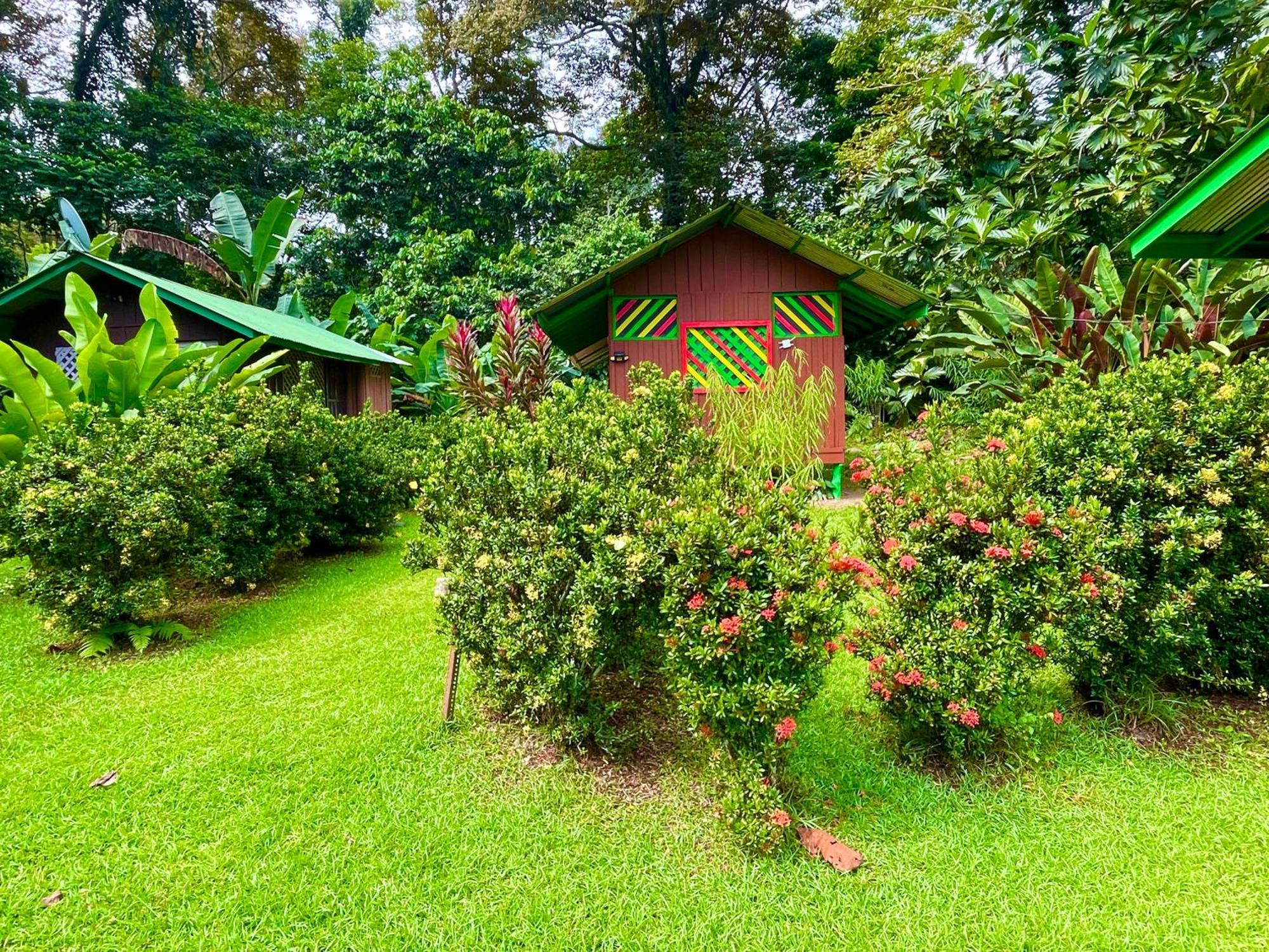Alouatta Lodge And Canopy Cahuita Exterior photo
